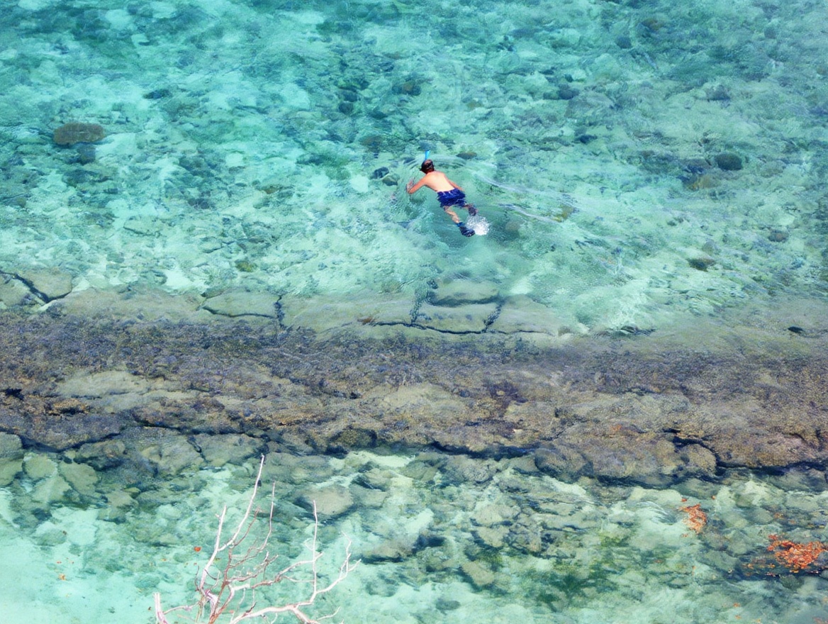 Con Dao snorkeling — coral reefs largely intact due to national park protection