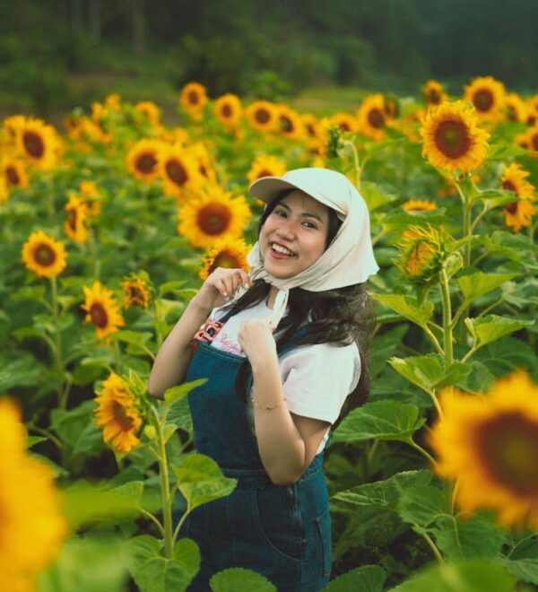 Best Time to Visit Dalat: The Honest Seasonal Guide