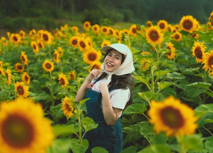 Best Time to Visit Dalat: The Honest Seasonal Guide