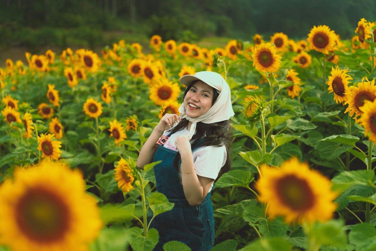 Best Time to Visit Dalat: The Honest Seasonal Guide