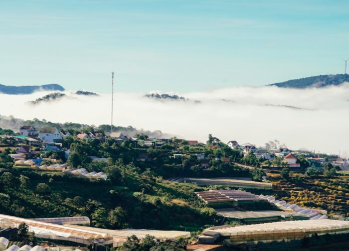 Dalat Coffee Guide: The Highland Farms Behind the Cup