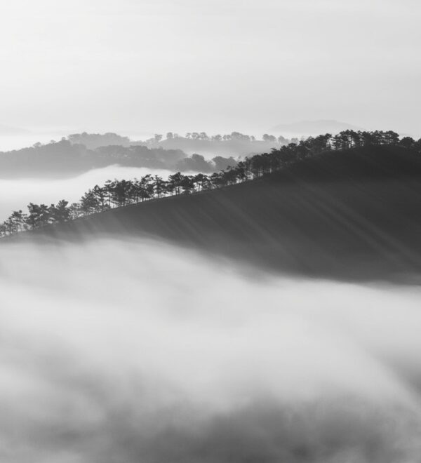 Saigon to Dalat: Every Way to Get There (With Times and Prices)