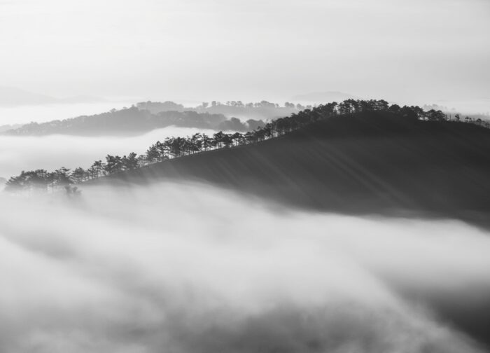 Saigon to Dalat: Every Way to Get There (With Times and Prices)