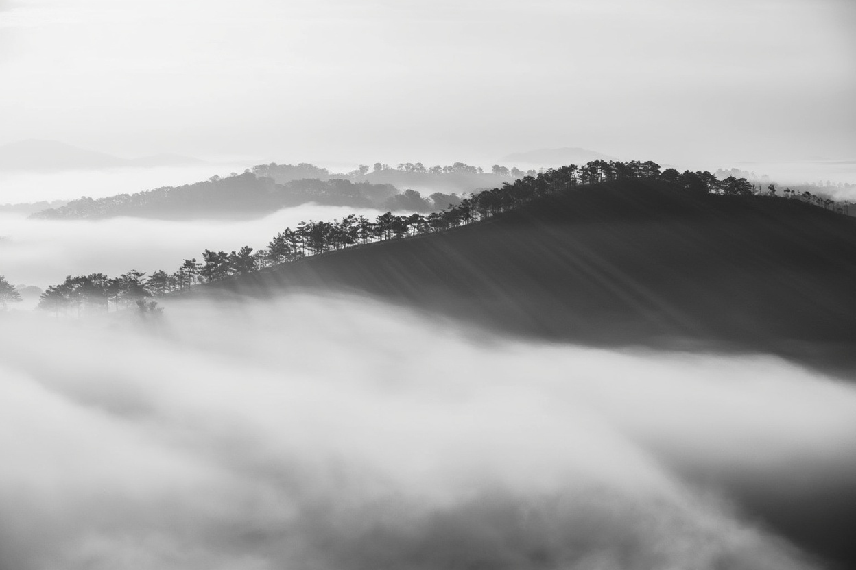 The final approach to Dalat — switchbacks through pine forest as the altitude climbs to 1,500m