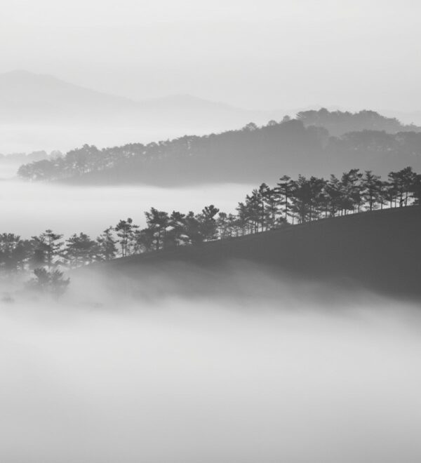 Dalat Vietnam: The Honest Traveler’s Guide to the Hill City