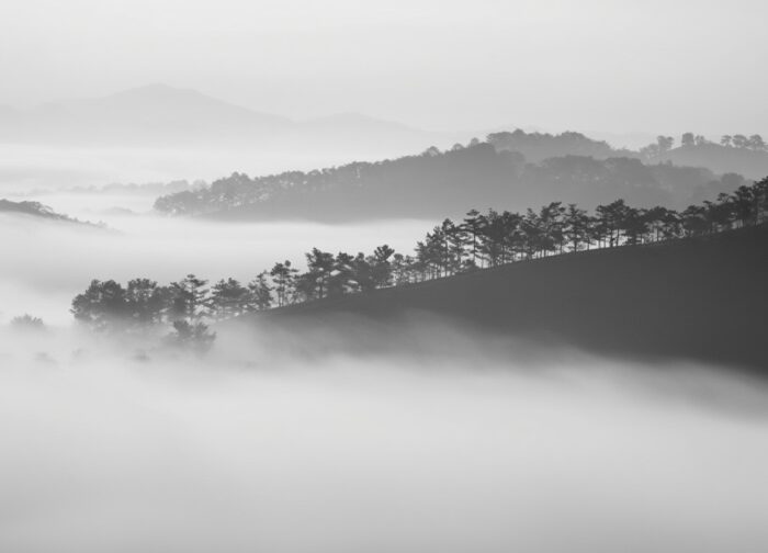 Dalat Vietnam: The Honest Traveler’s Guide to the Hill City