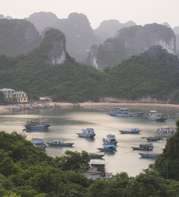 Cat Ba Island: Skip the Cruise, Go Here Instead