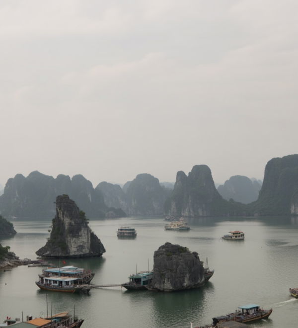 Ha Long Bay Tours: What Each Price Point Actually Gets You