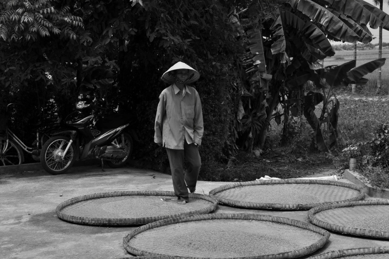 Tra Que Village bicycle ride — best in dry season, muddy but possible in shoulder months