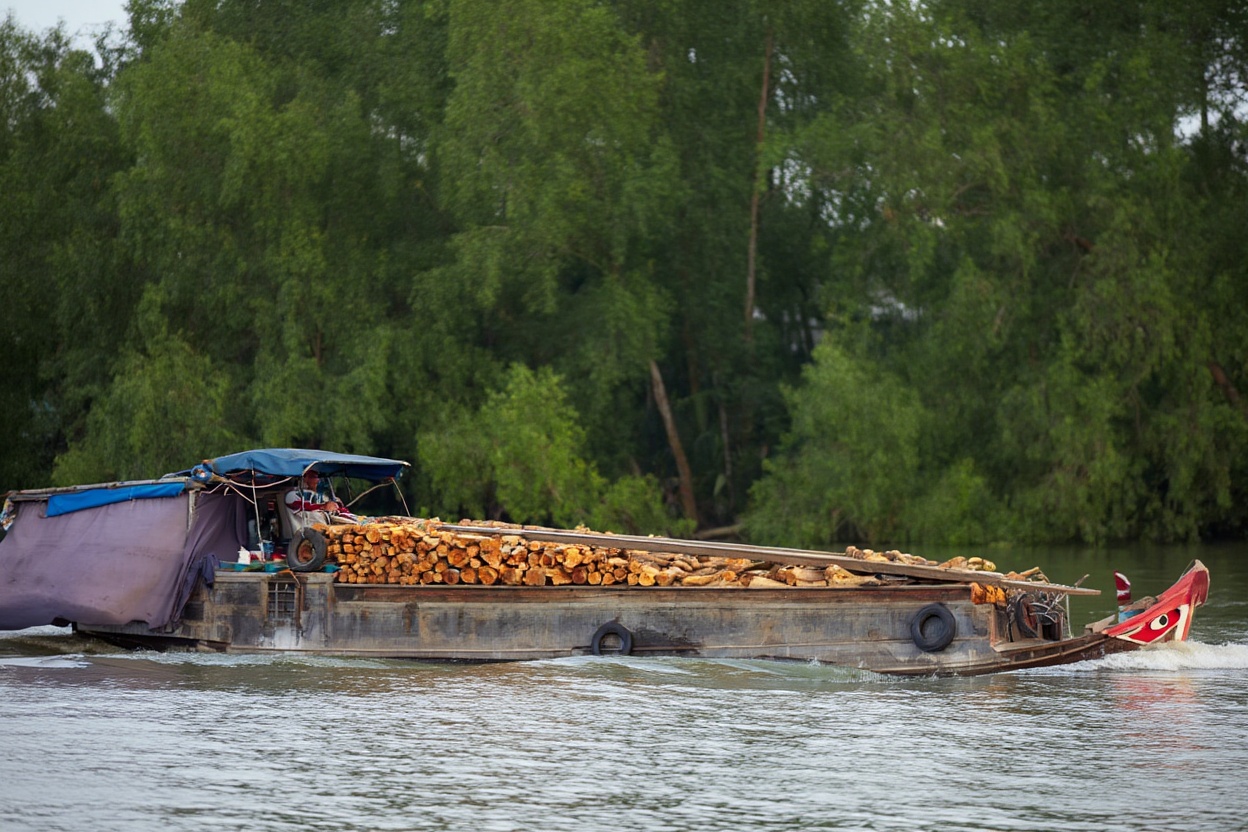 Cam Thanh coconut forest — the boatmen spin the basket as a party trick. It works every time