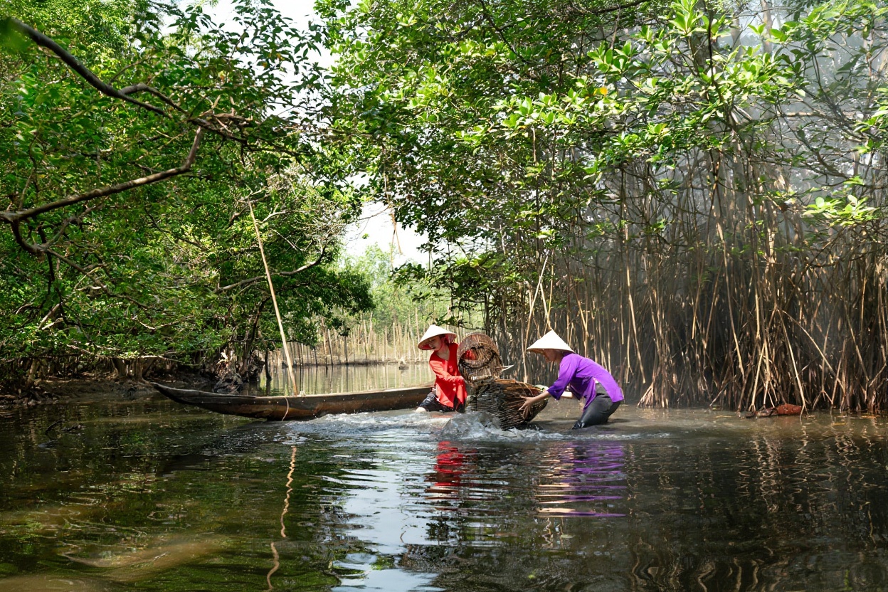 Cam Thanh coconut forest — yes, it's crowded. The guide still makes it