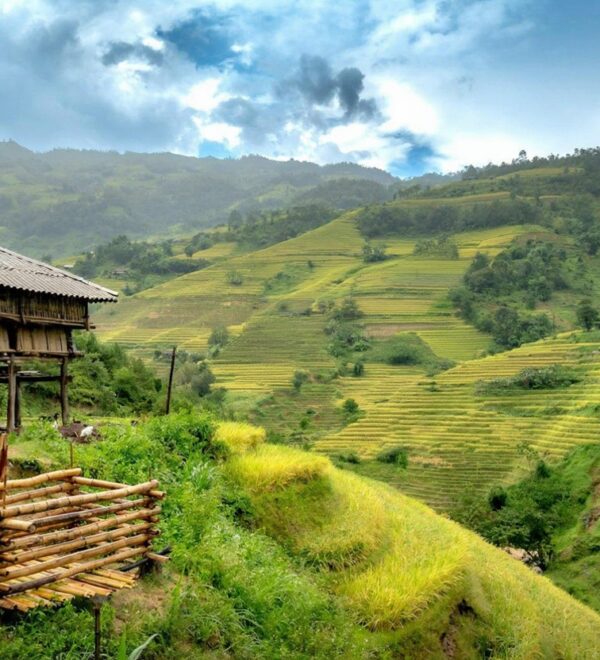 Mai Chau Vietnam: Honest Guide to the White Thai Valley