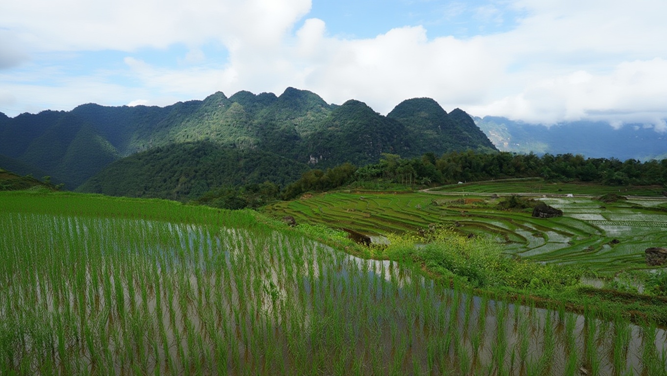 Pu Luong valley — less trafficked, more terraced, harder to reach
