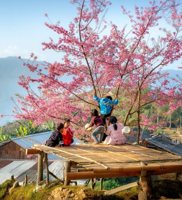 Mai Chau Trekking: What’s Actually Out There Beyond Ban Lac