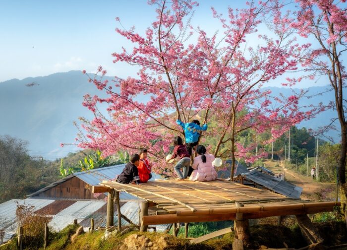Mai Chau Trekking: What’s Actually Out There Beyond Ban Lac
