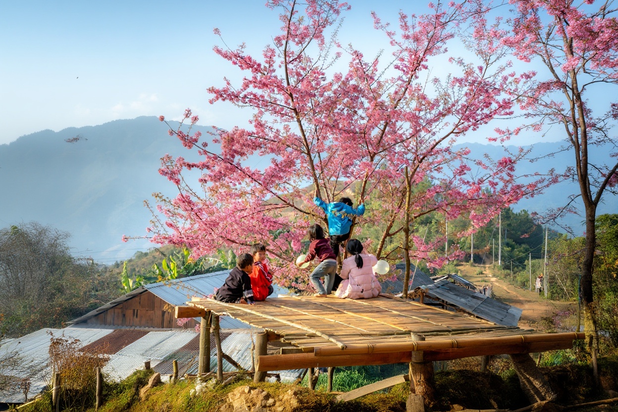 Above the valley floor — the forest trails start where the paddy fields end