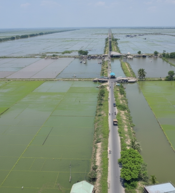 Mekong Delta Map: How to Plan Your Route (Without Getting Lost)
