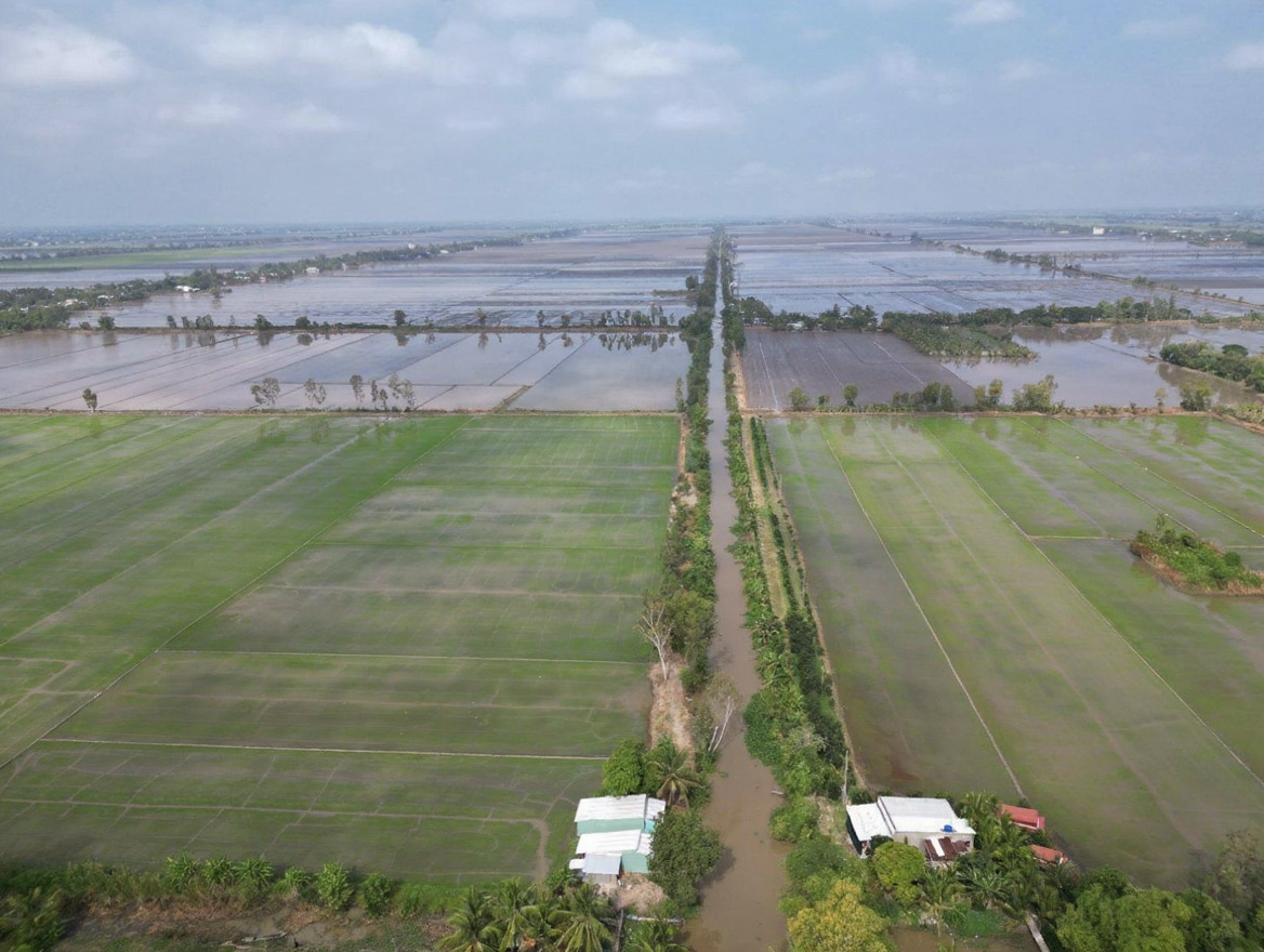 The delta's canal network — 28,000km of waterways threading through rice paddies and fruit orchards