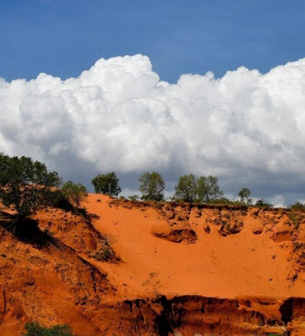 Mui Ne Vietnam Travel Guide: Sand Dunes, Kite Surfing, and Honest Advice