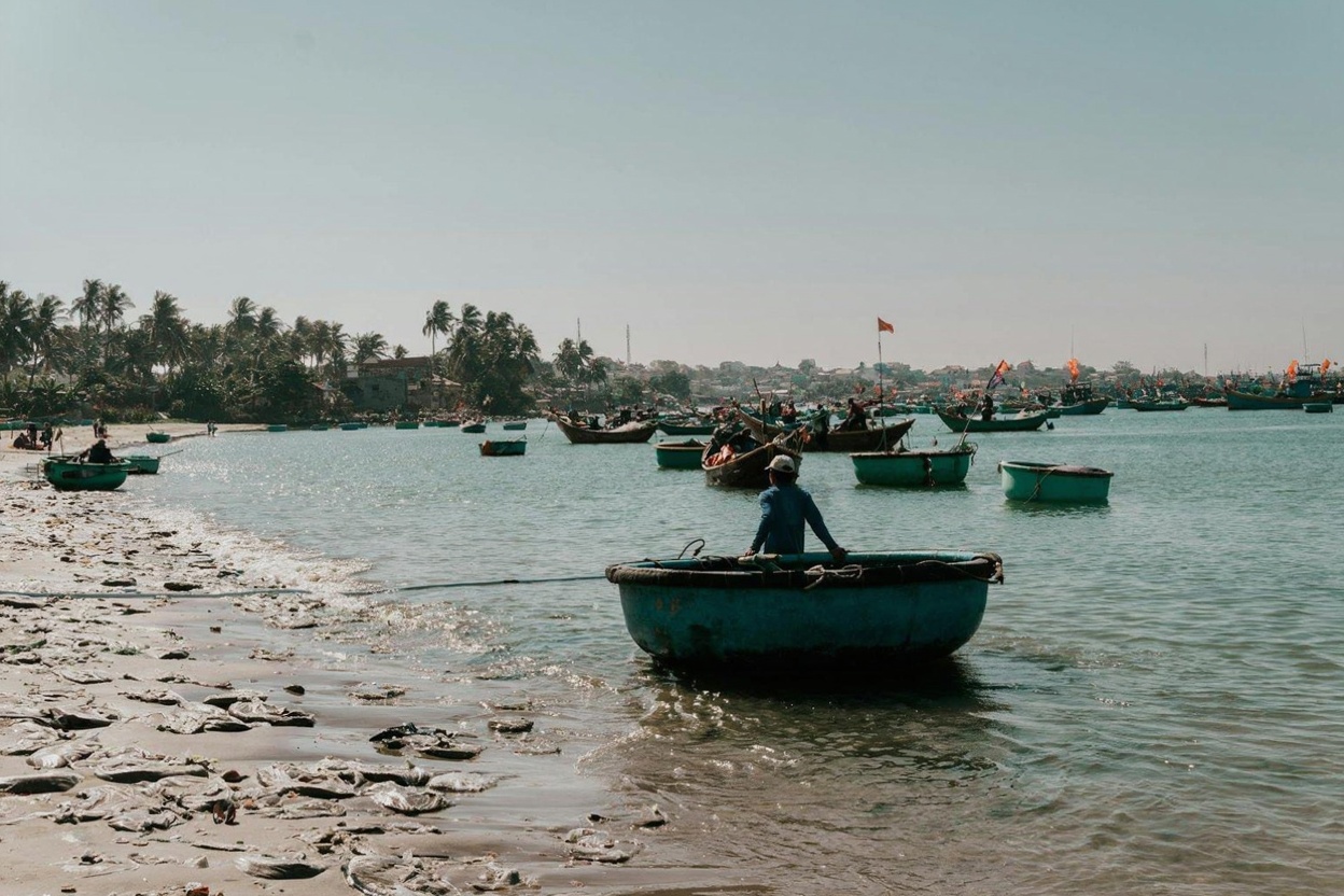 The Mui Ne fishing harbor at dawn — round thuyền thúng boats and the morning catch coming ashore