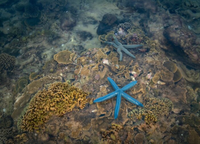 Things to Do in Nha Trang: What’s Worth Your Time
