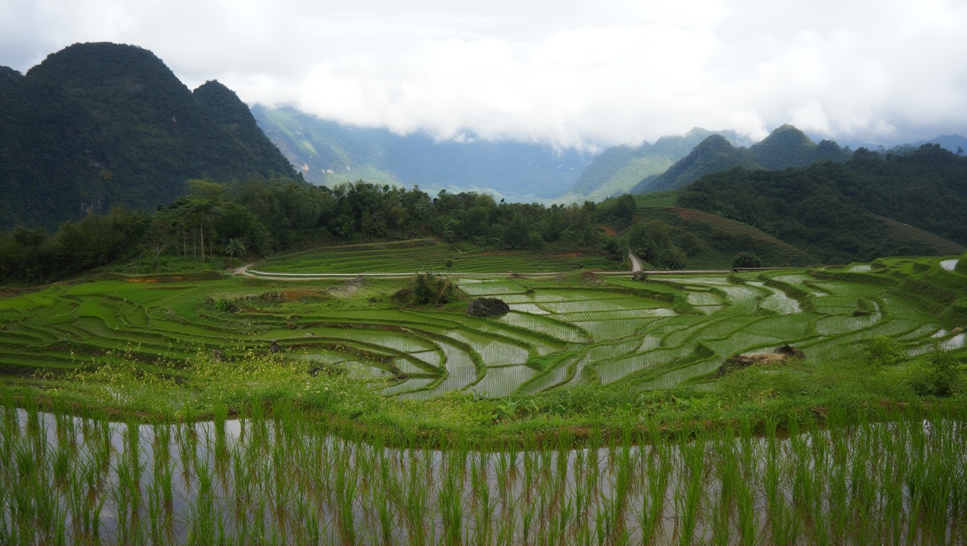 The road between Mai Chau and Pu Luong crosses a mountain pass — worth doing in daylight