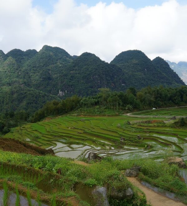 Pu Luong Vietnam: The Valley That Hasn’t Peaked Yet