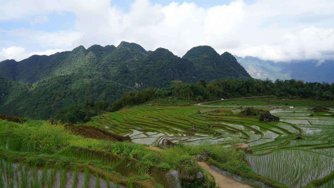 Pu Luong valley — the terraces are steeper and more photogenic than Mai Chau's flat paddies