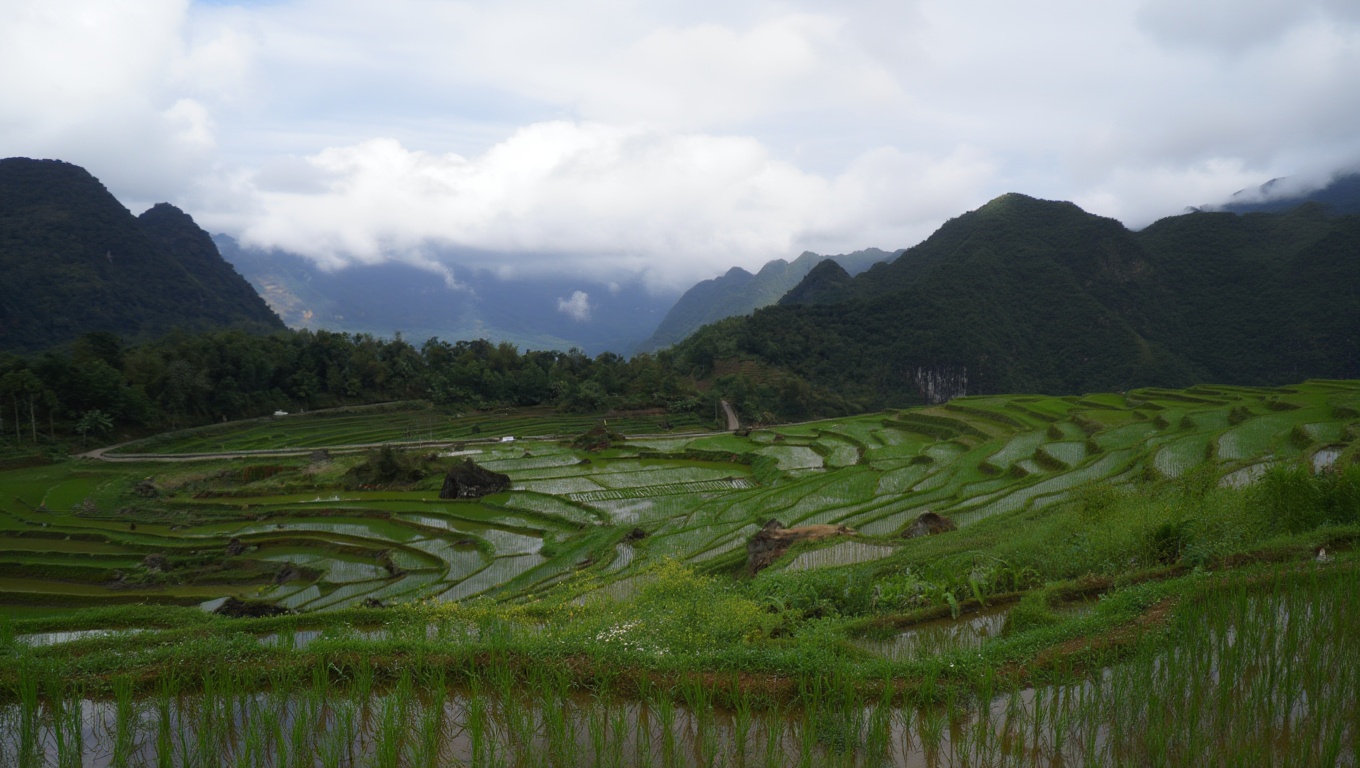 A Muong village on the valley road — each community has a different character