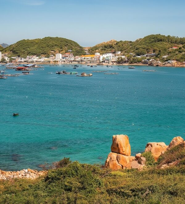 Hoi An to Quy Nhon: Every Option, Honest Times and Costs