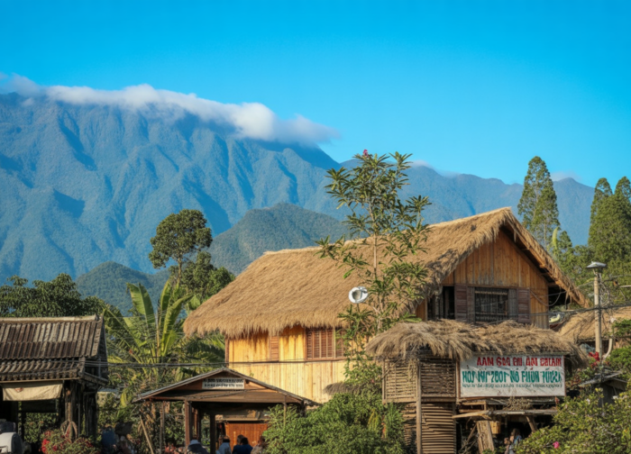 Hanoi to Sapa: Train vs Bus vs Car (2026 Options)