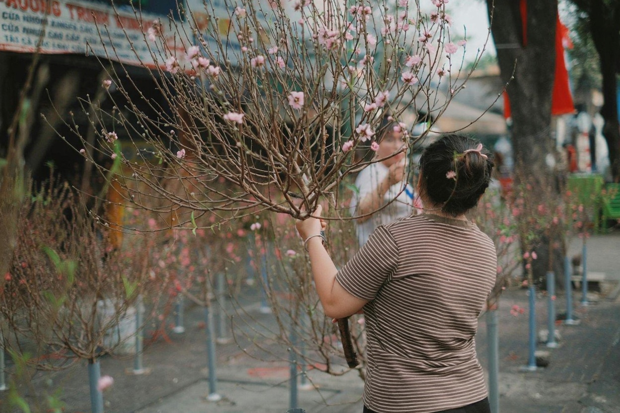 Hanoi flower markets the week before Tet — the prettiest the city looks all year