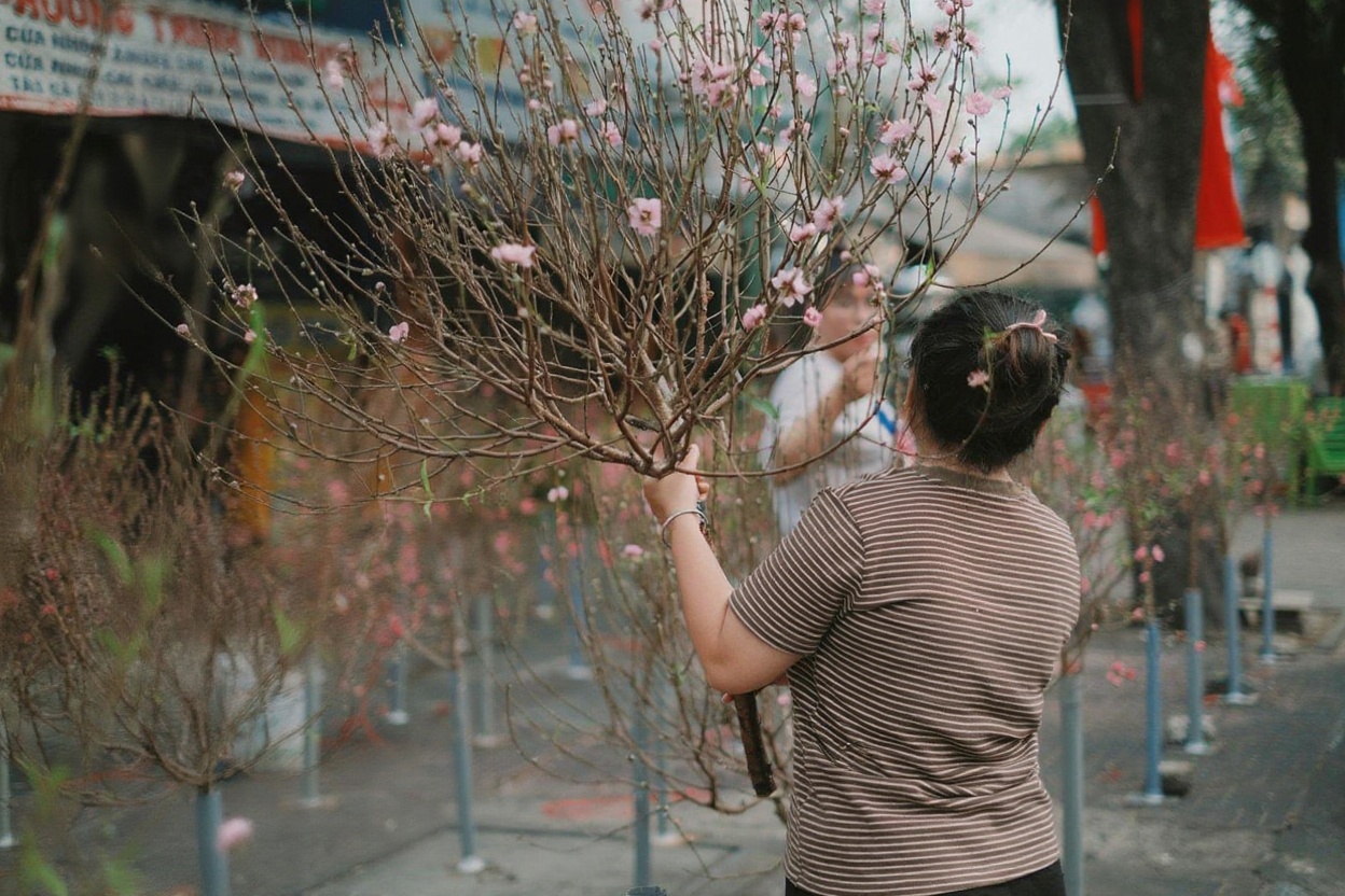 The days before Tet — streets lined with peach blossoms and kumquat trees, temples packed
