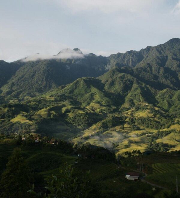 Vietnam in May: Green Season Starts, Crowds Don’t