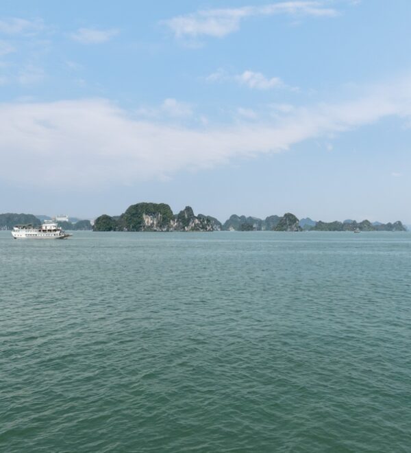 Vietnam in November: North Cool, South Perfect, Central Risky