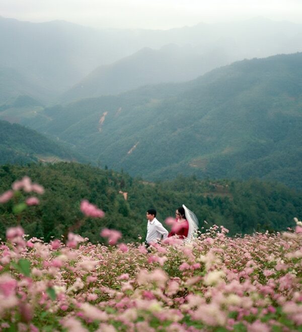 Vietnam in October: North Perfect, Central Tricky