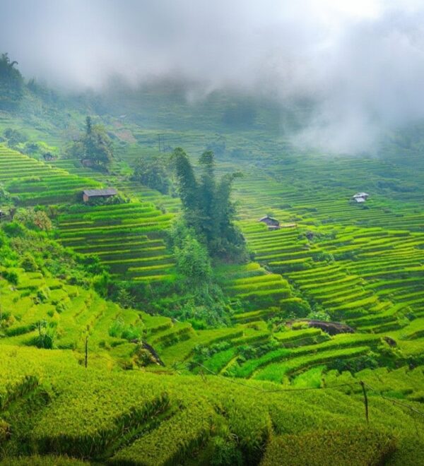 Best Time to Visit Vietnam: The Honest Month-by-Month Guide