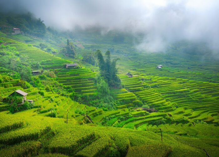 Best Time to Visit Vietnam: The Honest Month-by-Month Guide