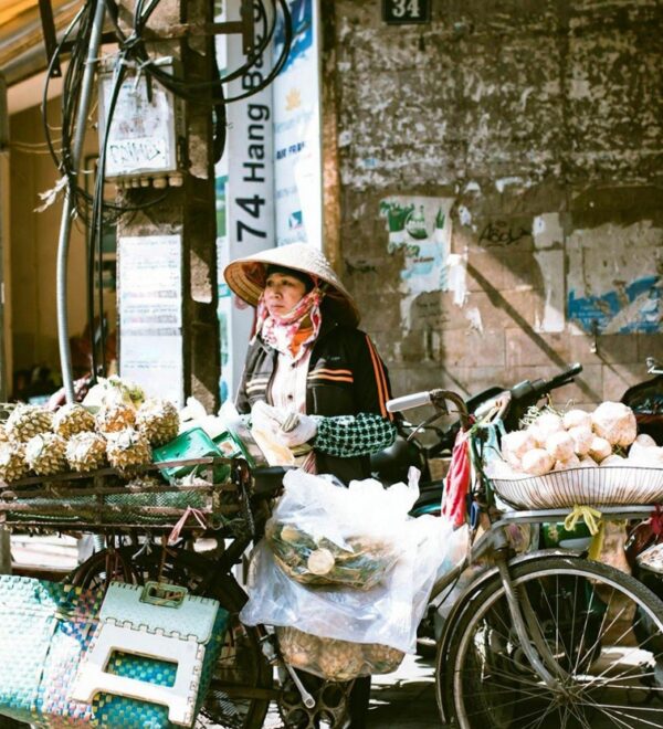 Vietnam Budget Travel Guide 2026: How to Do Vietnam Without Burning Money