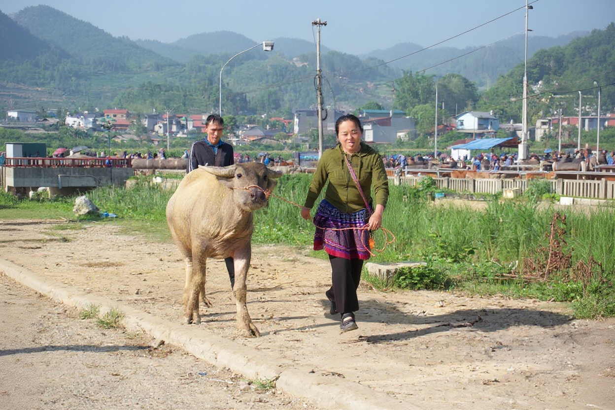 The market serves communities from a 30km radius — this is their weekly trading hub