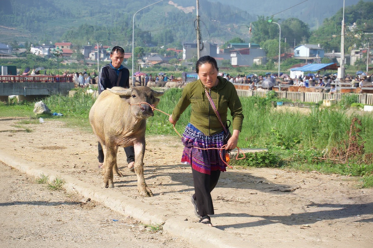 Thắng cố — horse organ stew, the Bac Ha market signature dish that splits opinions hard