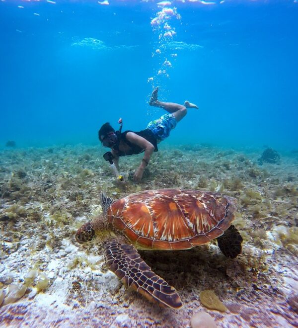 Diving in Con Dao: Vietnam’s Best Dive Site Nobody Talks About