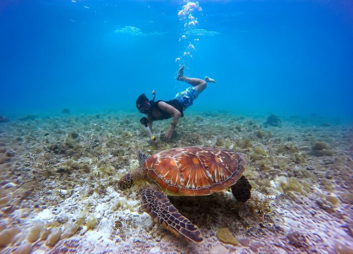 Diving in Con Dao: Vietnam’s Best Dive Site Nobody Talks About