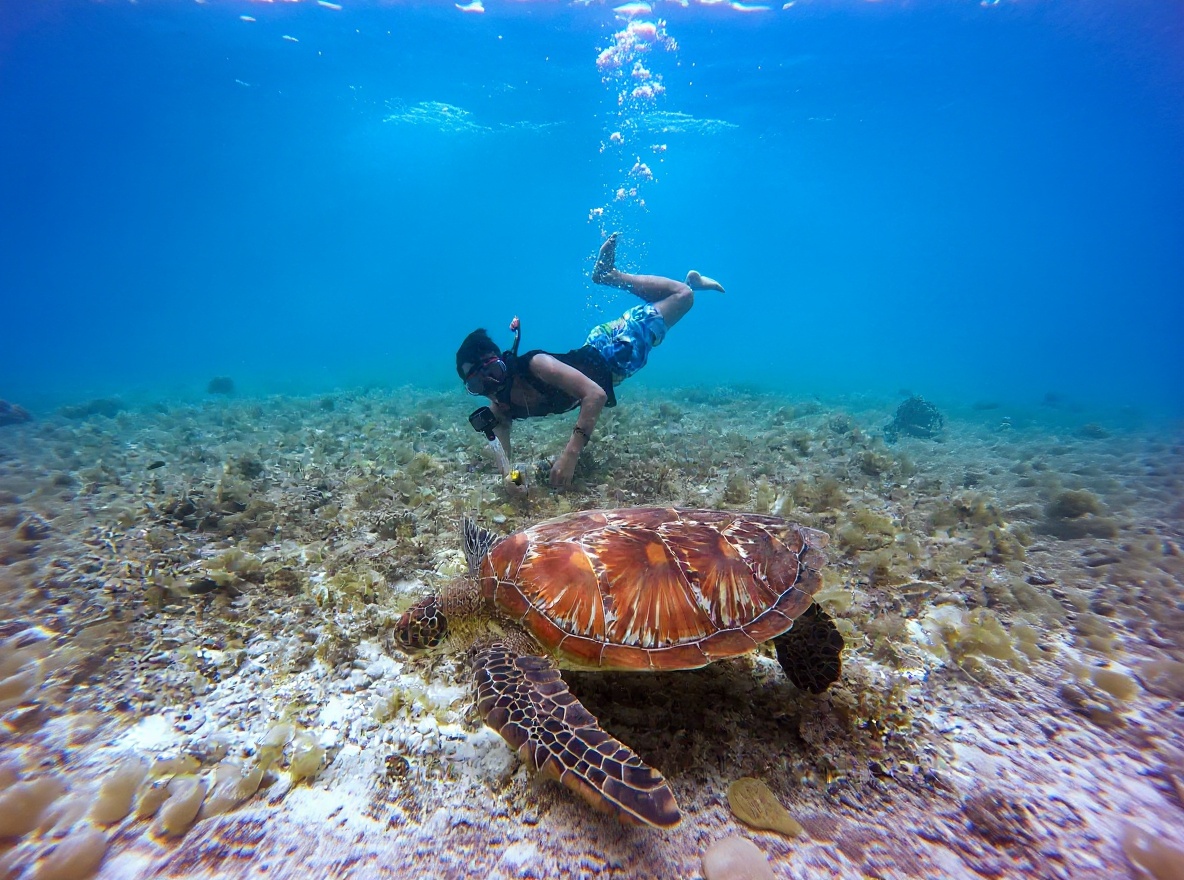 Con Dao reef diving — the national park protection shows in the water