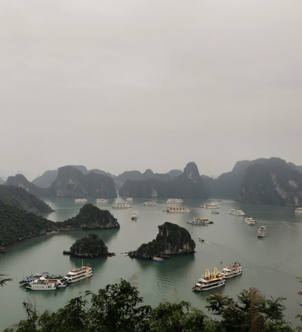 Ha Long Bay on a Budget: How to Not Get Ripped Off