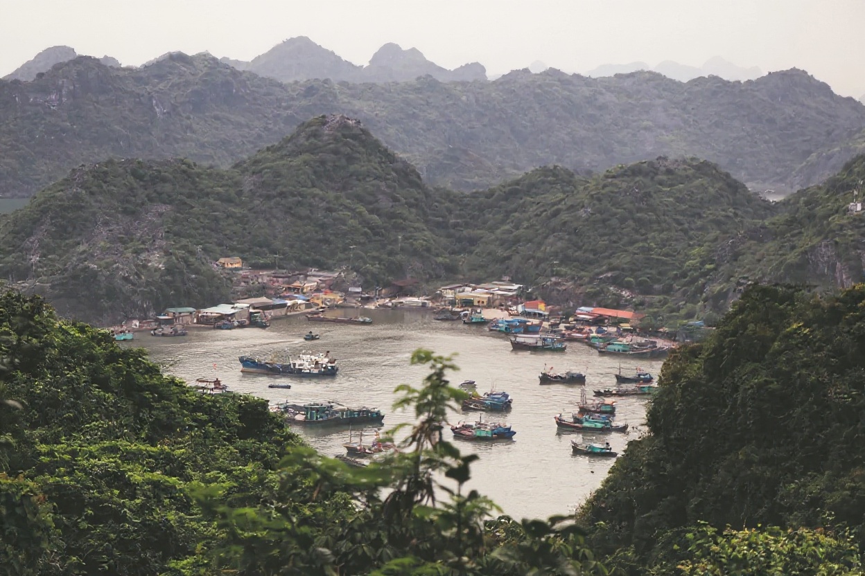 Cát Bà Island harbor — the starting point for Lan Ha Bay kayaking cruises