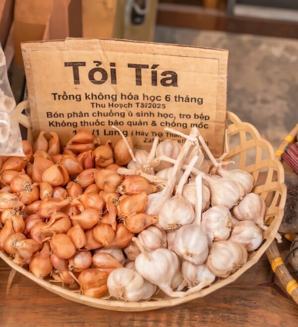 Best Hoi An Cooking Classes 2026: Honest Guide from Someone Who Chose Wrong First