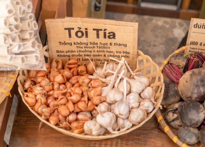 Best Hoi An Cooking Classes 2026: Honest Guide from Someone Who Chose Wrong First