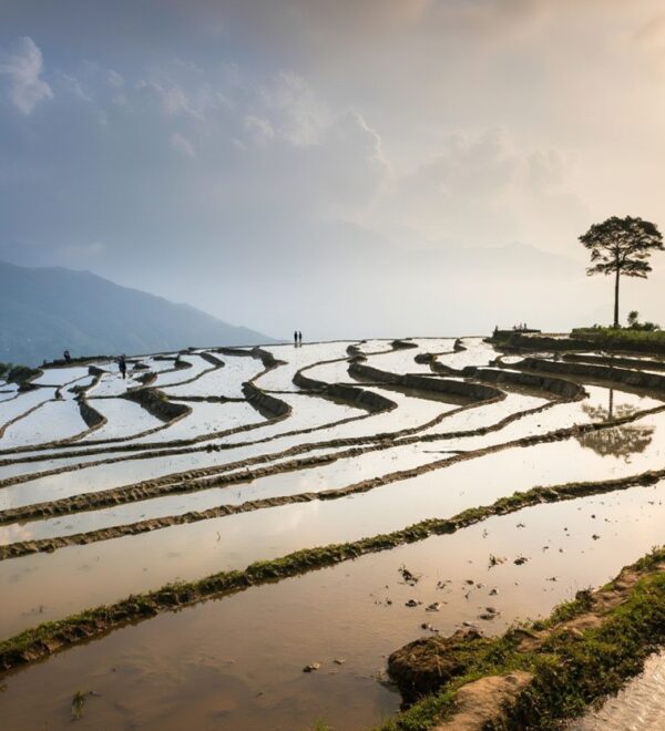 Best Time to Visit Mù Cang Chải: 3 Seasons, 3 Different Trips