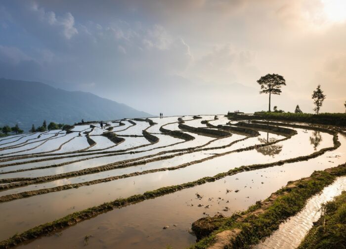 Best Time to Visit Mù Cang Chải: 3 Seasons, 3 Different Trips